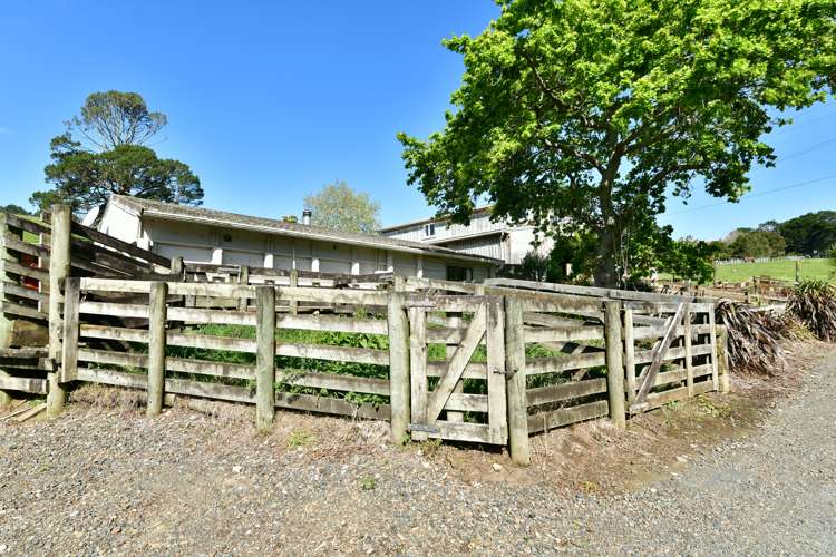 25 School Road Waimauku_46