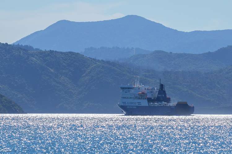 Curious Cove Curious Cove_19