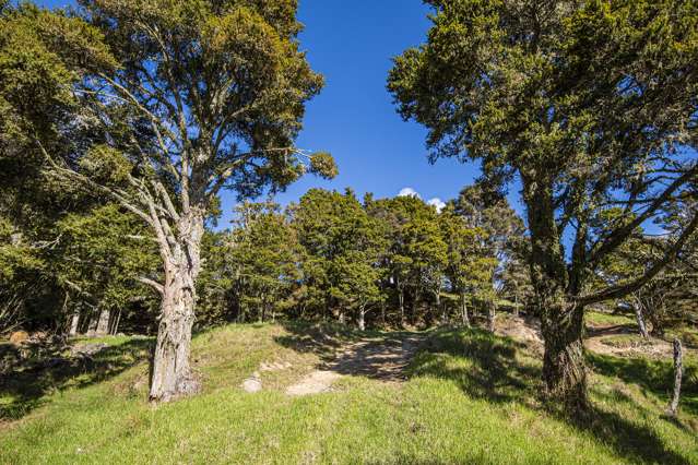 433 Crane Road Kauri_3