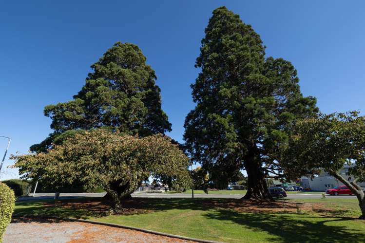 59 Bridge Street Rakaia_21