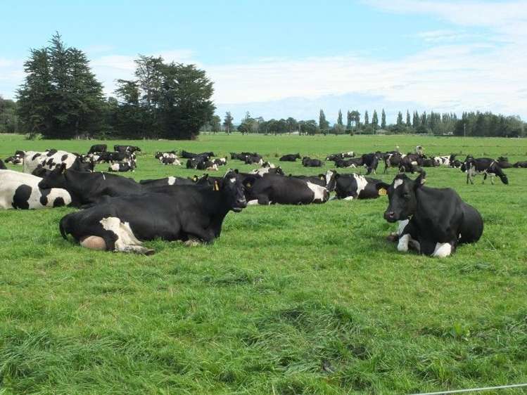 3 Limehills Browns Road Winton Surrounds_23