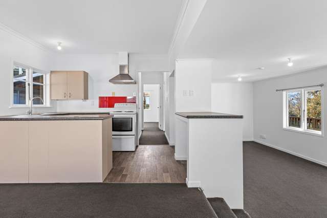 39 Thompson Terrace Toi Toi_3