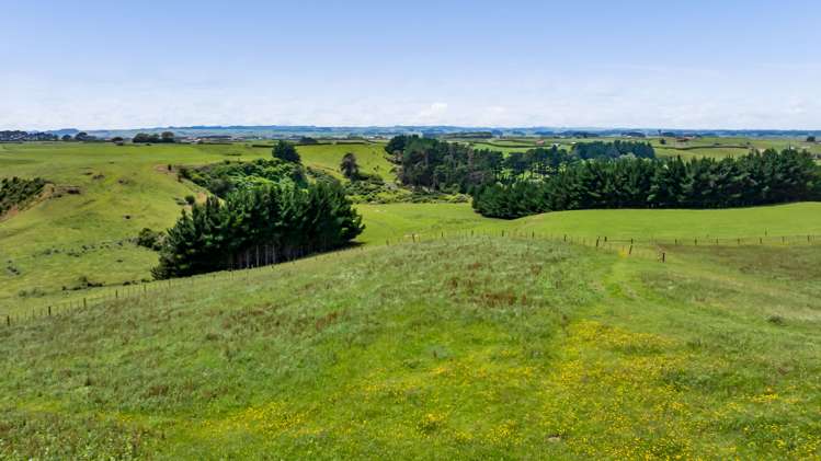 0n Douglas Street Sections Hawera_6