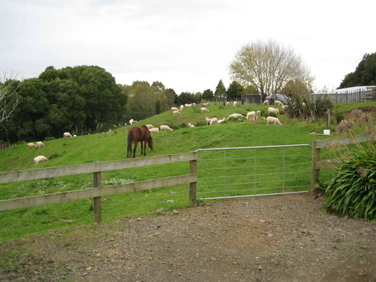 1047 Wairamarama Onewhero Road Onewhero_19