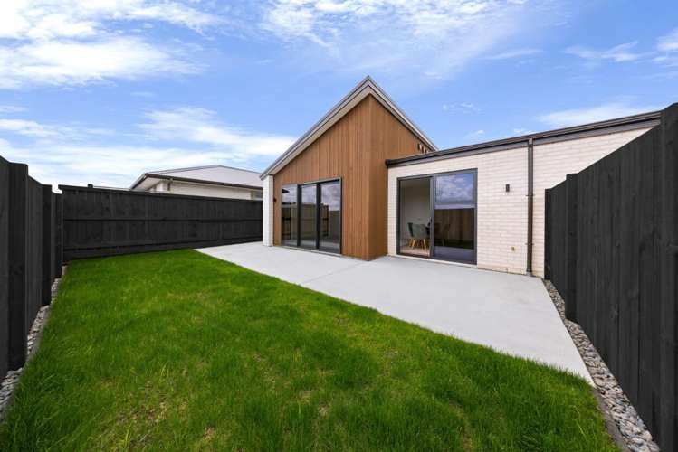 103 Marsh Avenue Morrinsville_1