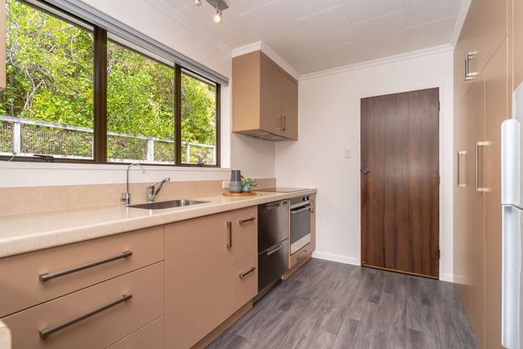 161 Scott Street Waverley_5