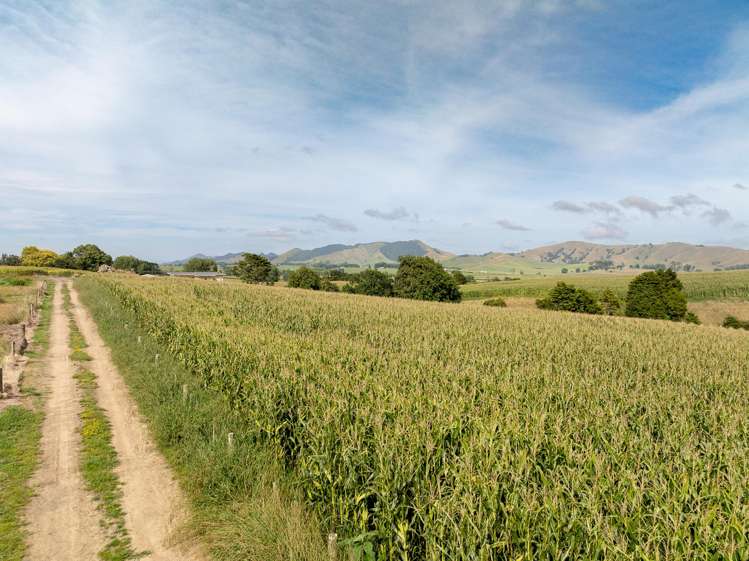 1179 Tahuna Road Ohinewai_16