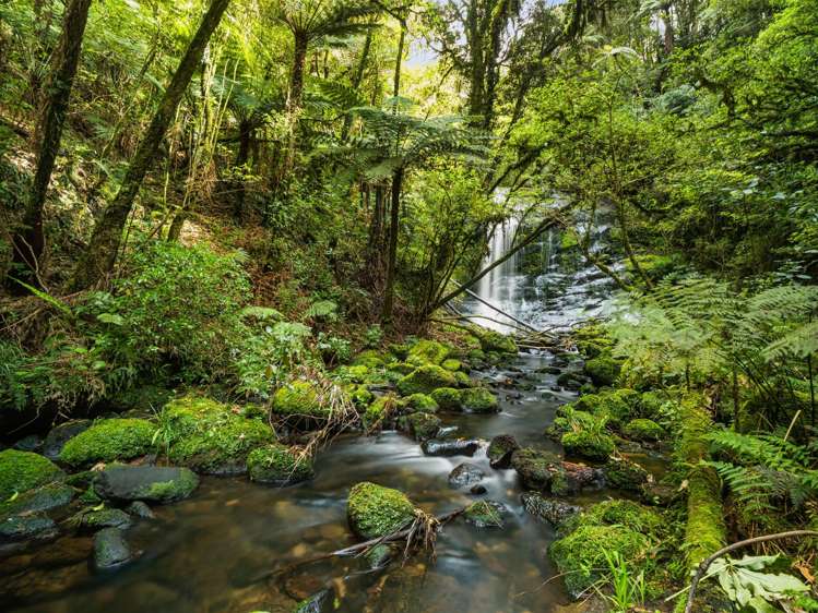 20 McLaren Falls Road Lower Kaimai_39