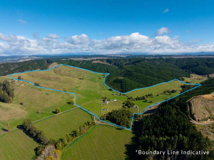 229 Teapot Valley Road Brightwater_3