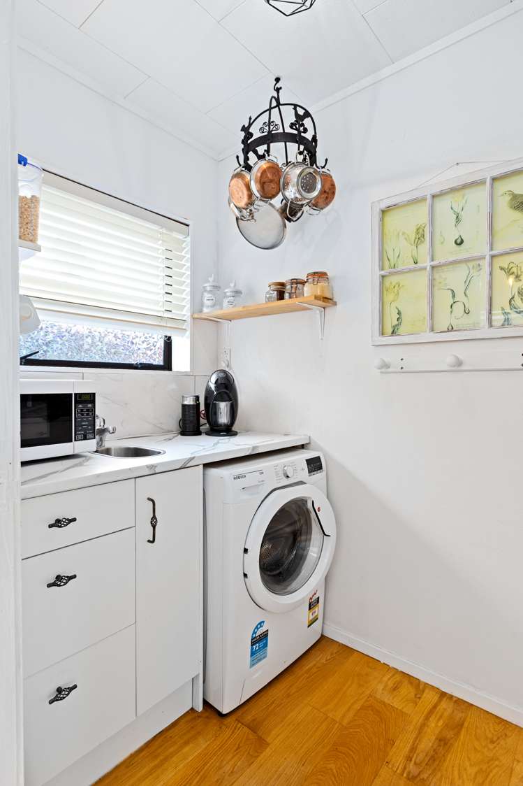 21b Nukumea Common Orewa_12