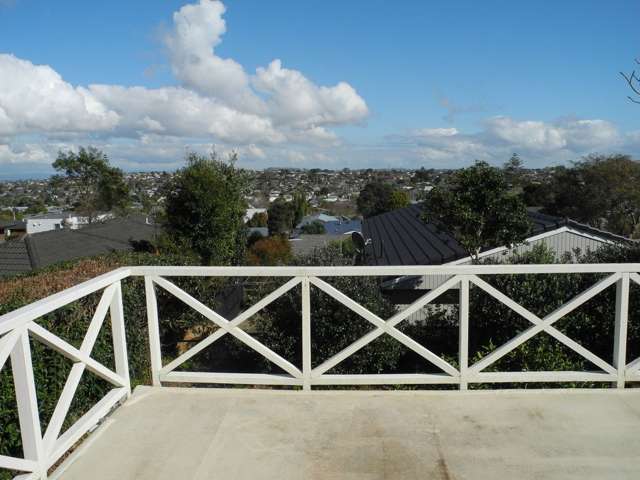 163 Cook Street Howick_2