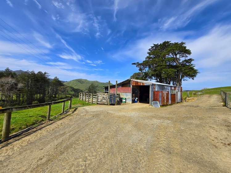 1815 Omana Road Maungakaramea_13