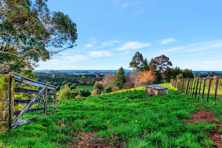 399 Wainui South Road Whakamarama_16