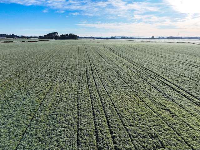 330 Pomona Road East Makarewa_3