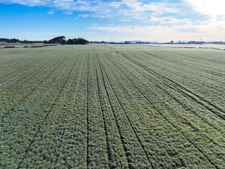 330 Pomona Road East Makarewa_3