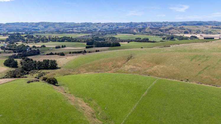 220 Tiffin Road Carterton_11