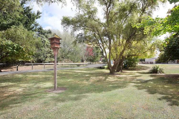 455b State Highway 1 Bulls_28