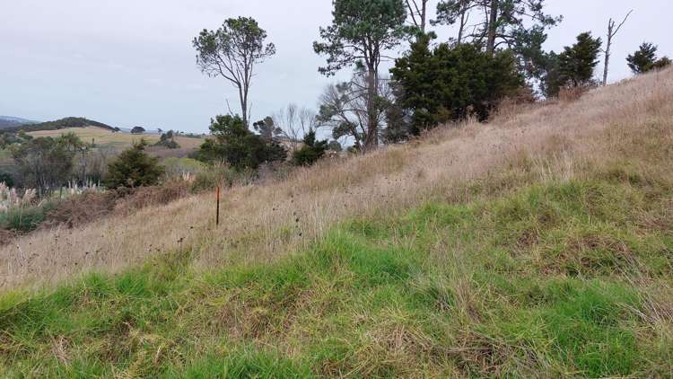 Wearmouth Road Paparoa_21