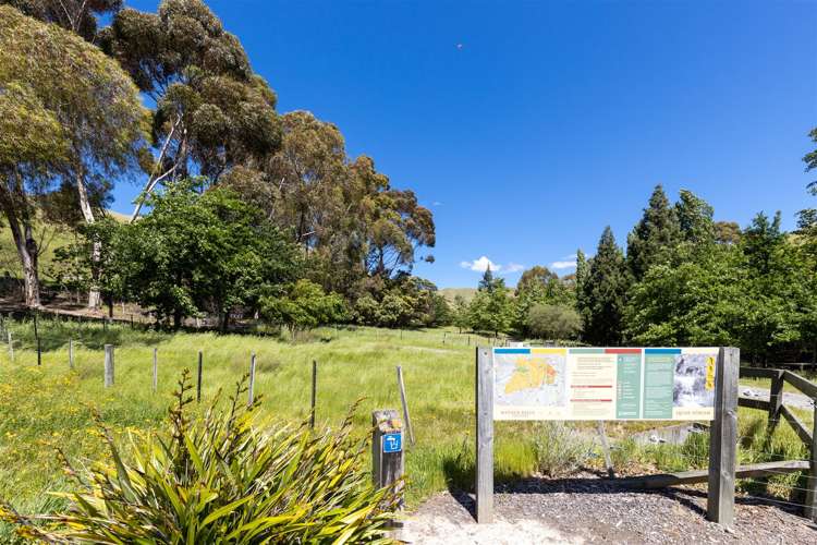 49 Hillcrest Avenue Witherlea_32