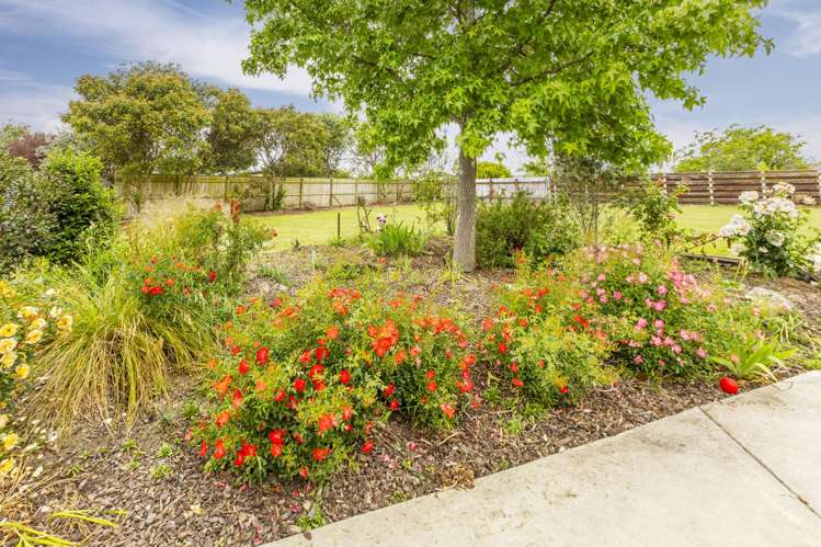 6 Rose Street Waipukurau_15