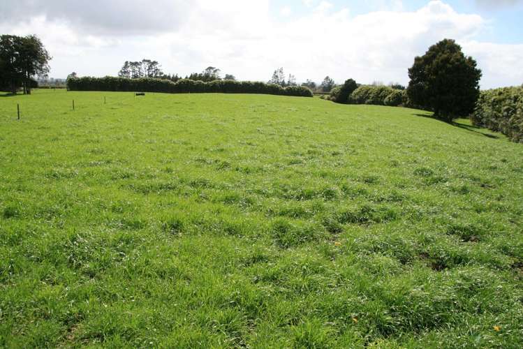 1996 Egmont Road Inglewood_9