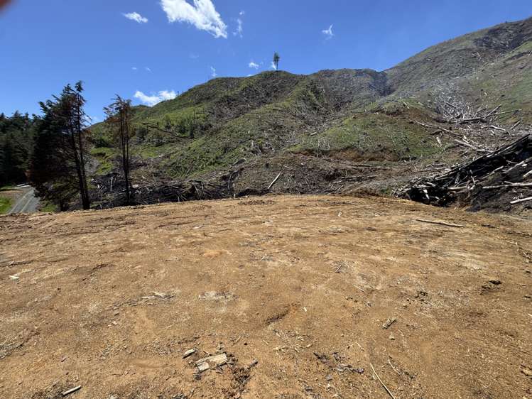 Lot 3 Brown Road Kawhia_7