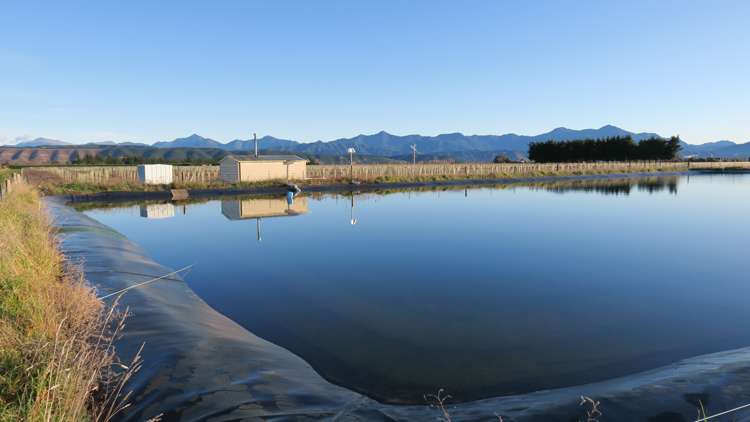 816 Waihopai Valley Road Waihopai Valley_12