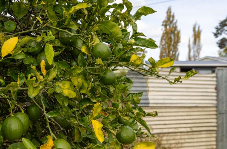 31 Paki Street Huntly_16