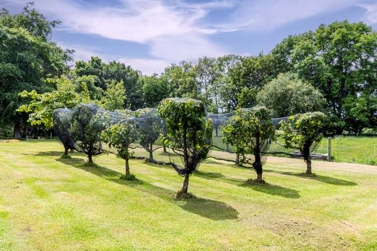 222 Gleniti Road Gleniti_17