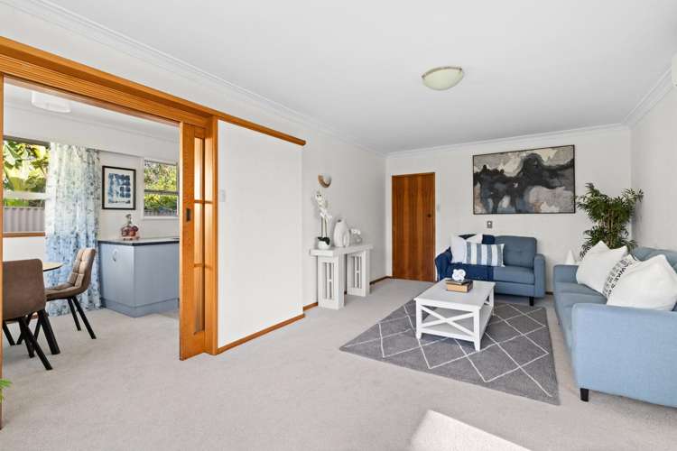 44 Alpers Terrace Marewa_9
