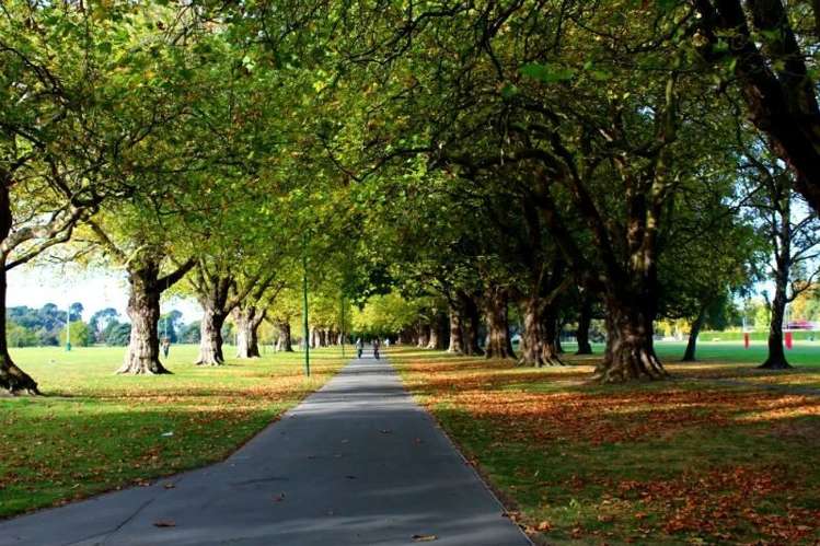 6/6 Riccarton Road Riccarton_14