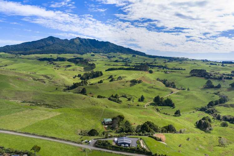 62 Cornes Road Raglan_21