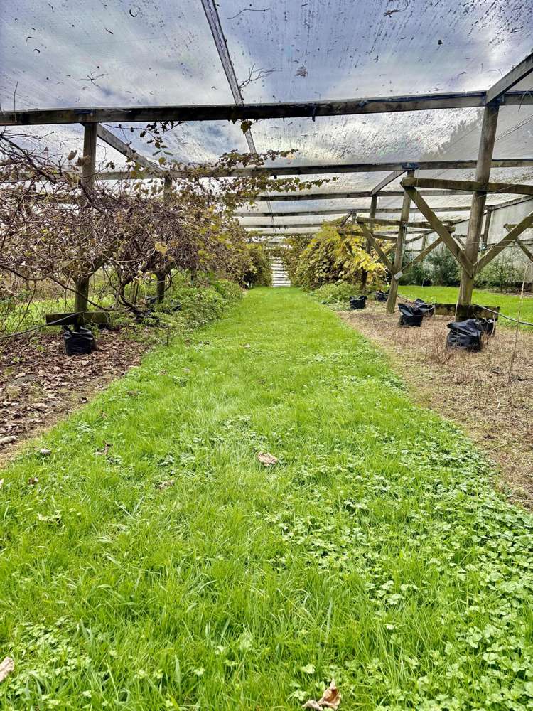 1/69 Vineyard Lane Mangawhai_11