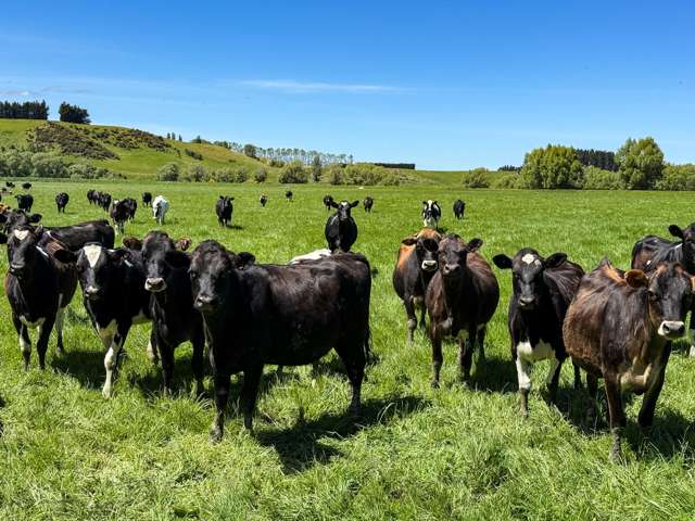 840 Ardlussa Cattleflat Road Cattle Flat_4