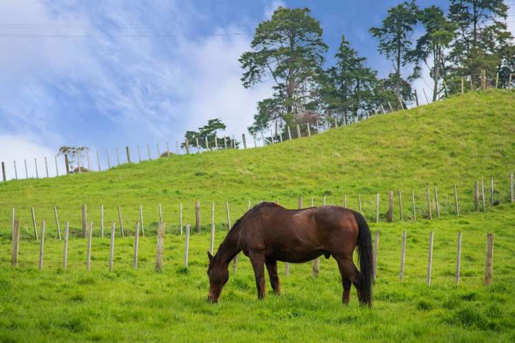 715 Ararimu Valley Road Helensville_5