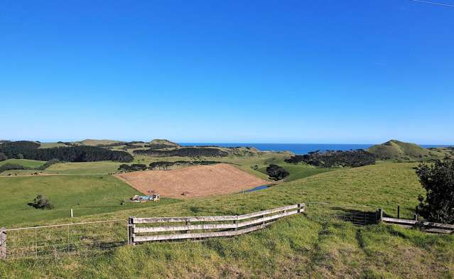 Rehutai Road Baylys Beach_1