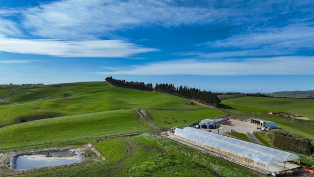 Entry Level Dairy Farm