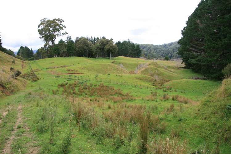 544 Mohakatino Road Mokau_23