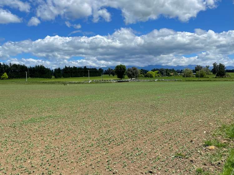 State Highway 50 Ongaonga_5