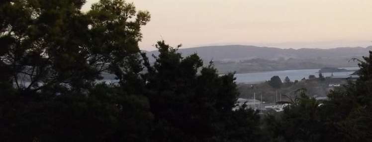 35 Punga Grove Avenue Riverside_1