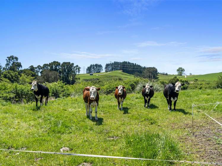 681 Beechey Street Pirongia_32