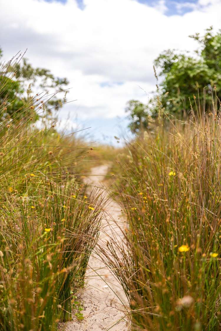 18 Papaunahi Road Bowentown_14