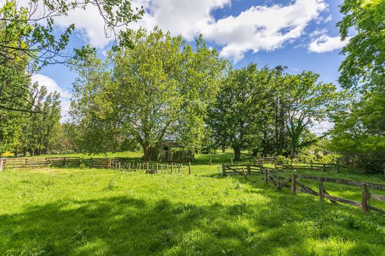 Lot 2-1768 Morrinsville Walton Road Matamata_29