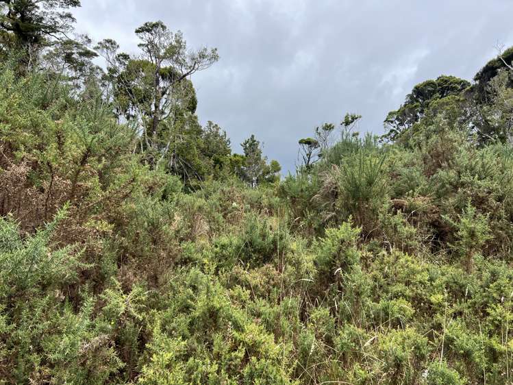 Lot . State Highway 6 Barrytown_11