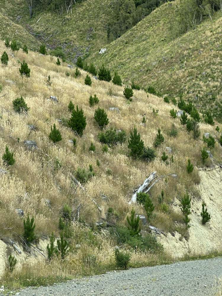 428 Mangatarere Valley Road Carterton_7