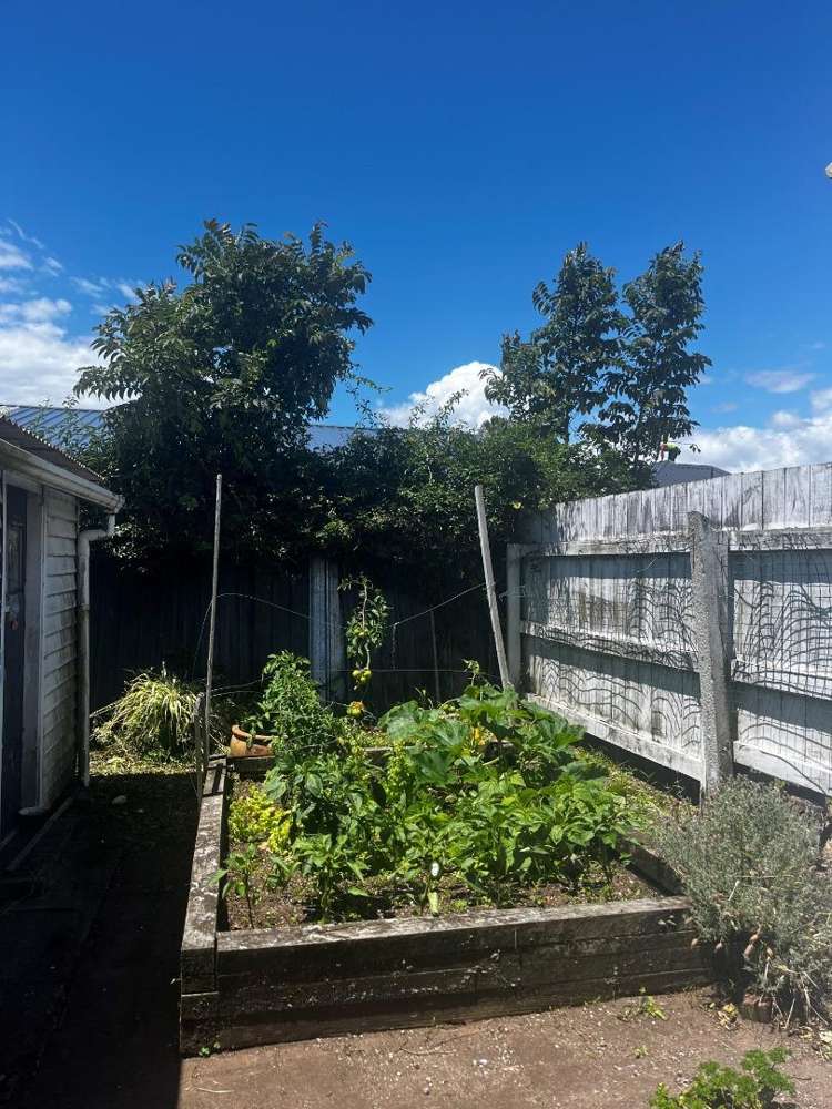 102 Tripoli Road Panmure_11