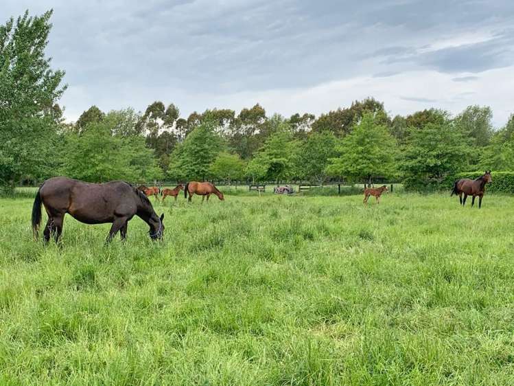 Leadleys Road Halswell_8