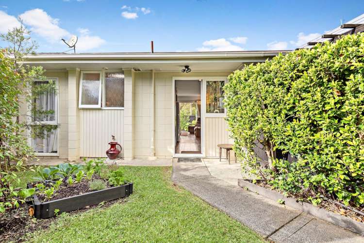 44b Richard Farrell Avenue Remuera_8