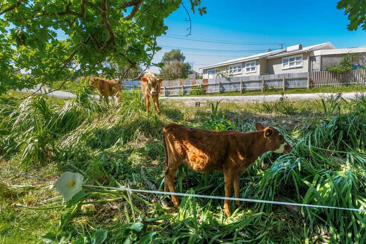 2 Centennial Park Road Wellsford_24