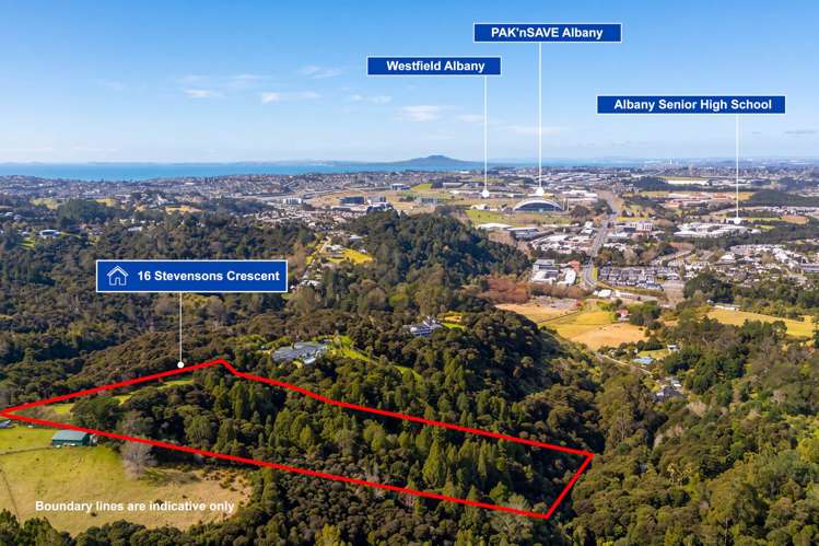 16 Stevensons Crescent Albany_7